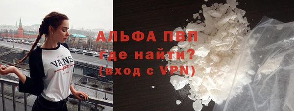 гидра Вязьма