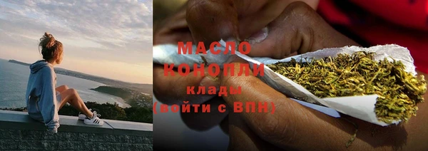 шишки Вяземский