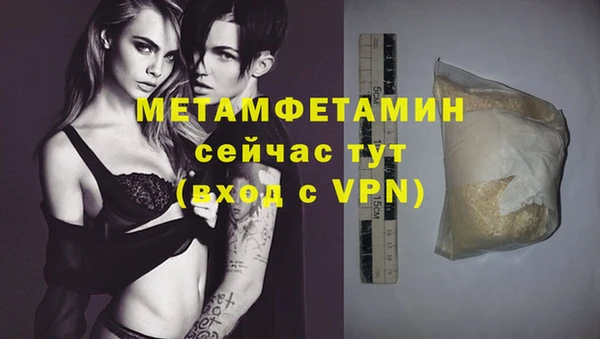 гидра Вязьма