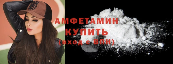 гидра Вязьма