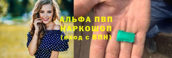 шишки Вяземский