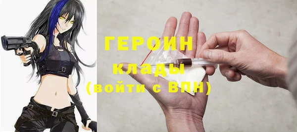 гидра Вязьма