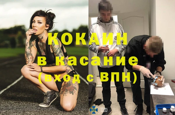 гидра Вязьма