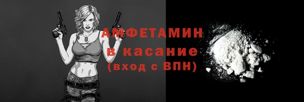 шишки Вяземский