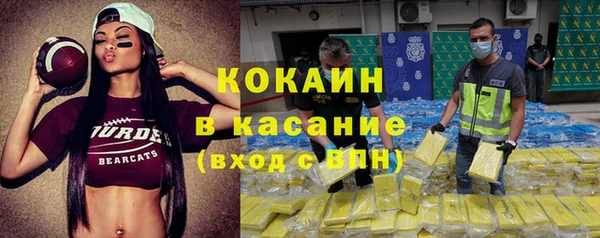 гидра Вязьма