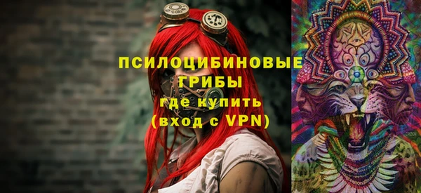 шишки Вяземский
