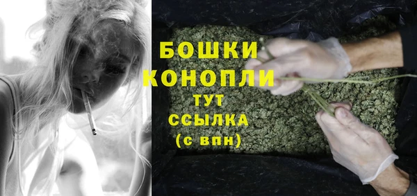 гидра Вязьма