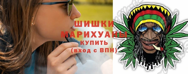 гидра Вязьма