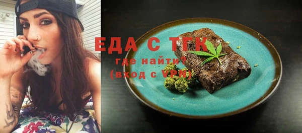 гидра Вязьма